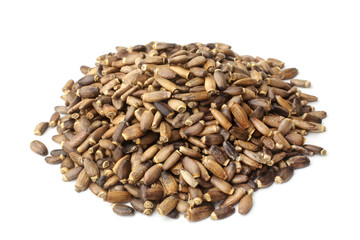 Seeds of a milk thistle (Silybum marianum, Scotch Thistle, Maria