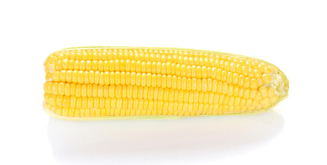 One Yellow Corn on white background.