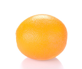 Orange on white background.