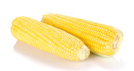 Corn on white background.