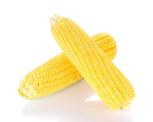 Corn on white background.