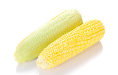 Corn on white background.