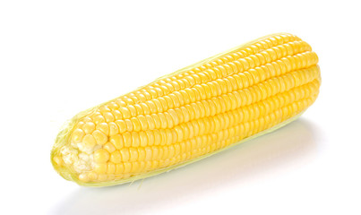 Corn on white background.