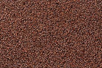 Closeup view of Chocolate Barley Malt Grains. Ingredient for beer. Background texture. Ideal for commercial. Backdrop image. 