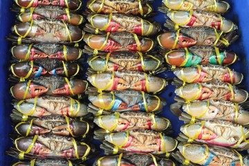 Fototapeta na wymiar Fresh sea crab for cooking in market.