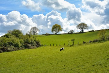 Frühlingslandschaft im Essener Süden