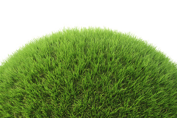 Green grass hill. Isolated on white. 3D illustration.