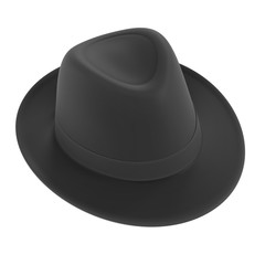 3d renderings of trilby hat