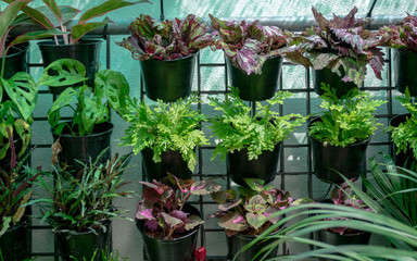 Pots made from recycle plastic