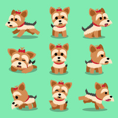 Fototapeta premium Cartoon character yorkshire terrier dog poses set
