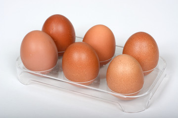 Six free range eggs in a plastic fridge holder against a white background.