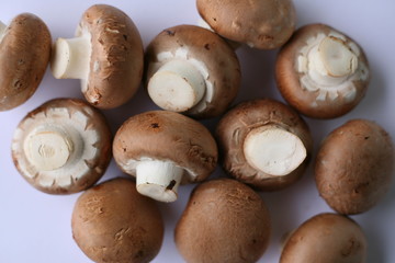 braune Champignons 