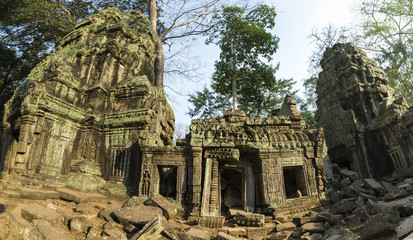 Fototapeta premium Ta Prohm, ancient temple in jungle forest in Angkor, Cambodia