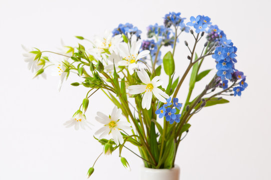 Arrangement of white and blue flowers.
Still life image of white Stitchwort and blue Forget Me Not against a white background.