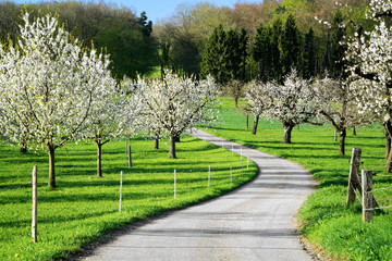 Weg in den Frühling