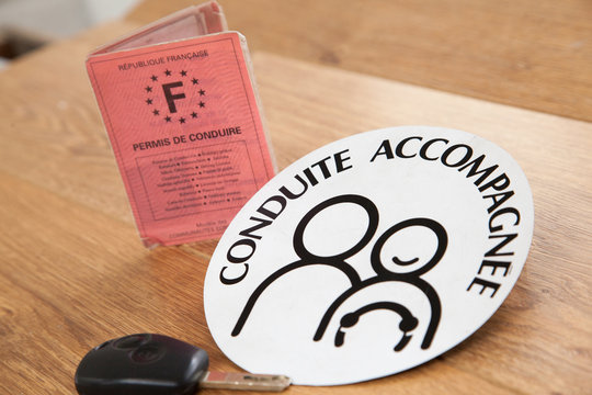  Permis de conduire