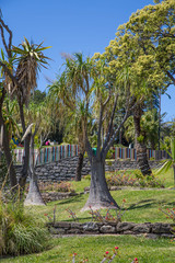 farbenfrohe Blumenpracht in öffentlichen Parkanlagen in Funchal, Madeira, Portugal