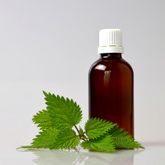 Stinging nettle essential oil
