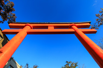 A giant torii gate in front of the Romon Gate at the shrine's entrance
Fushimi Inari Shrine