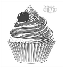 Cupcake in engraving style.   Vector  illustration, isolated, grouped on transparent background.