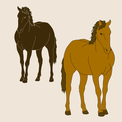 horse silhouette set realistic 