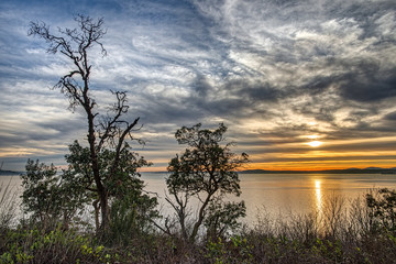 Sunset with Interesting Cloud Formations Silhouettes Interestingly Shaped Trees on Hillside in...
