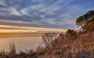 Cliff Side Trees, Bushes, and other Foliage take in the Dying Sunlight on a Cloudy Day in Seattle, Washington