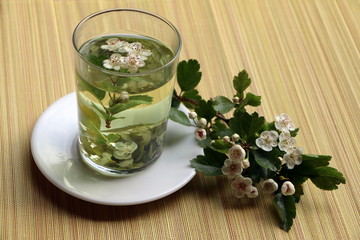 Tee aus Weißdornblüten und Weißdornblättern, Kräutertee im Teeglas, Gesundheitstee