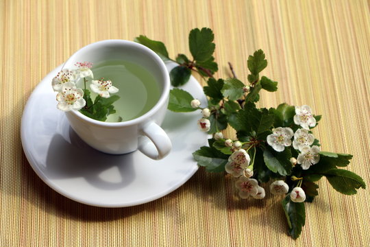 Kräutermedizin, Tee aus Weißdorn-Blüten und -Blättern (Crataegus monogyna), Gesundheits-Tee
