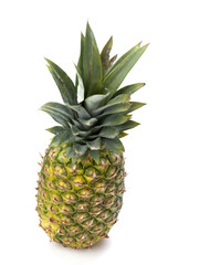 Fototapeta premium pineapple on white