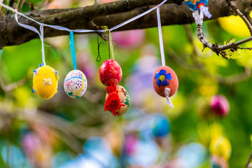 Several Easter colored eggs hanging on a tree branch