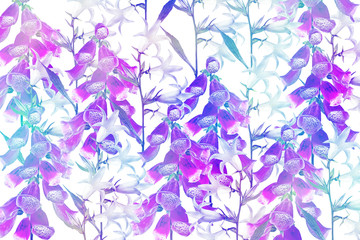 flowers bluebells isolated on white background