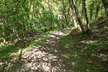 Obraz premium Friaul