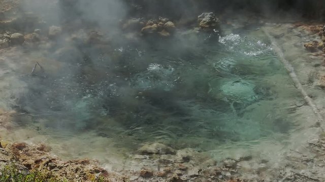 A bubbling hot spring in Yellowstone National Park spews out water and steam. This hot spring is in Artists Paint Pot.