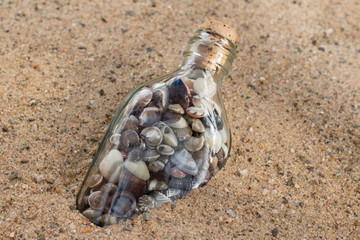 Verkorktes Glas mit Muscheln am Strand