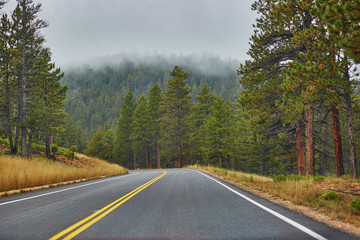 Road through pine forest in Bryce canyon national park