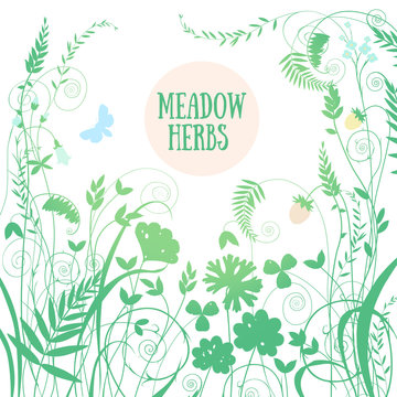 The background image is a square of meadow flowers and herbs