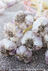 Bunch of fresh garlic