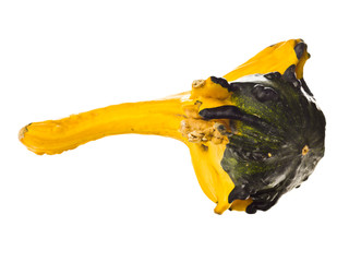angled shot of a gourd
