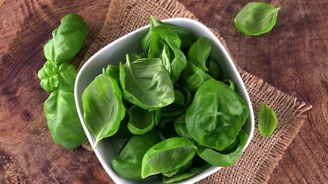 Portion of rotating fresh Basil as not loopable 4K  UHD footage