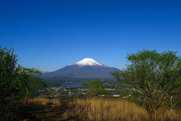 山中湖高指山山頂からの富士山