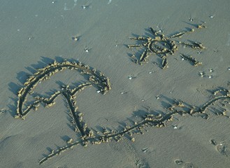Beach umbrellas and Sun drawn on the sand of the sea