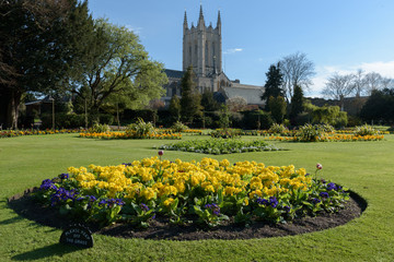 St Edmundsbury Cathedral with flower garden in foreground