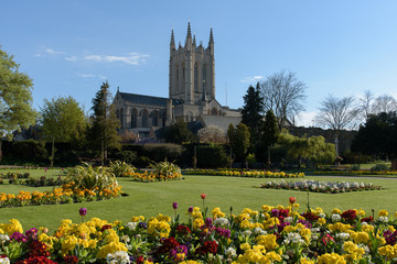 St Edmundsbury Cathedral with flowers in foreground