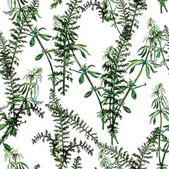 Seamless pattern made from watercolor hand painted grass