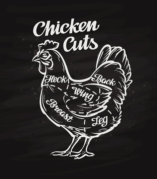 Chicken Cuts. Template Menu Design For Restaurant, Cafe