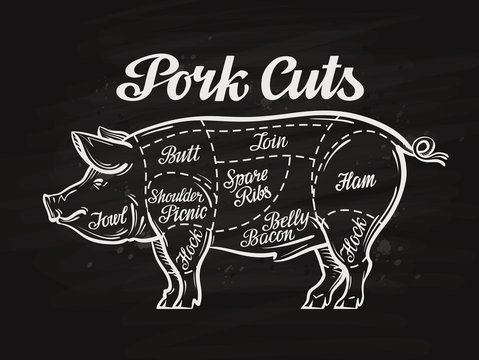 pig, pork cuts. template menu design for restaurant, cafe
