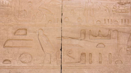Tuinposter old egypt hieroglyphs © EwaStudio