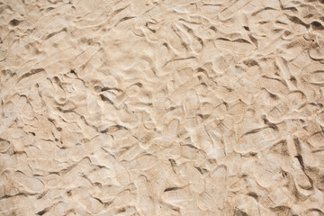Many footsteps on the sand beach