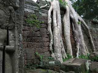 Preah Kahn temple, Cambodia
